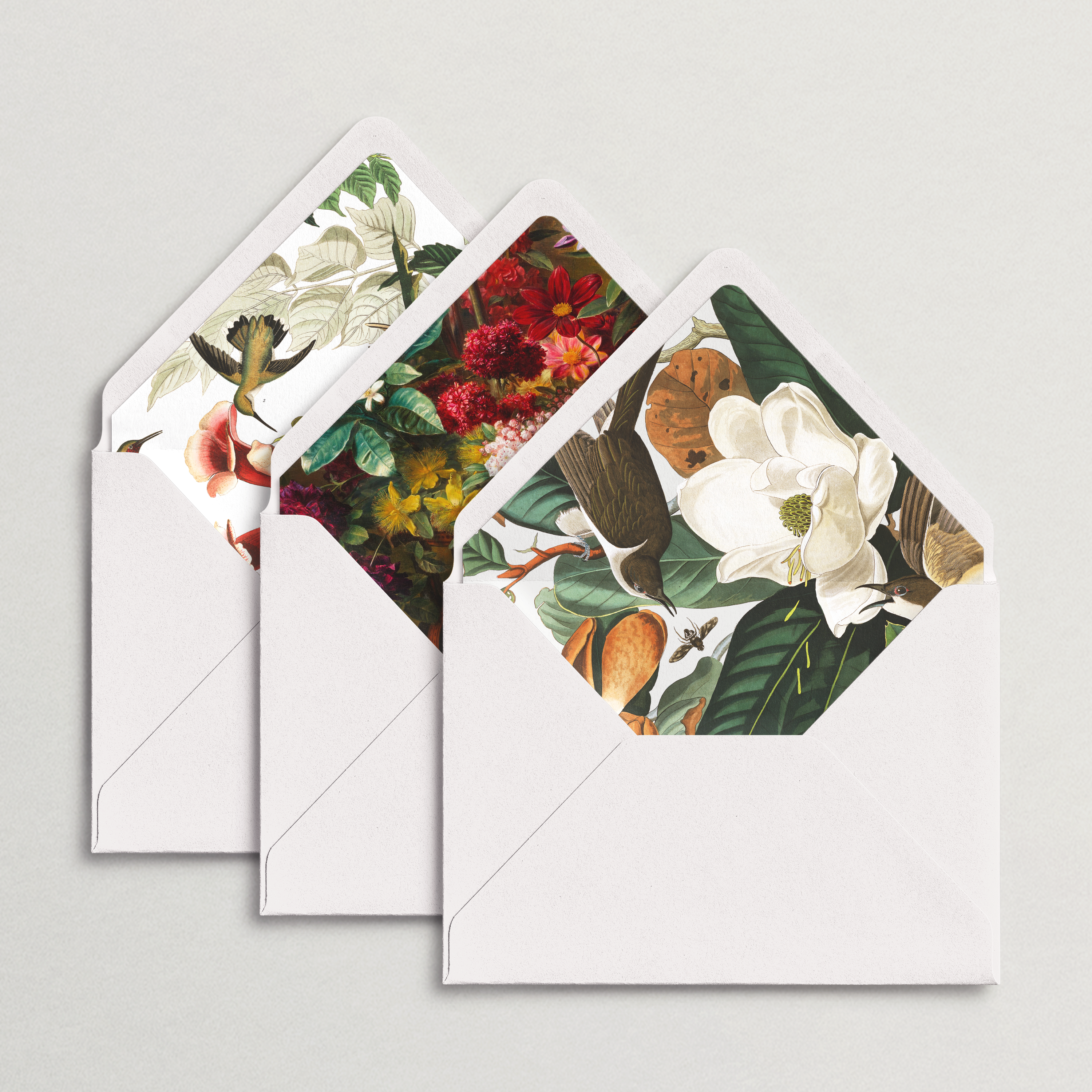 Full Color Printed Envelope Liners – Isidore & Augustine