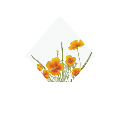 Mexican Poppy