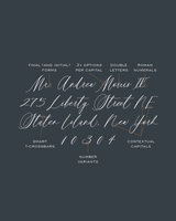 Loenna Pro - Script Typeface