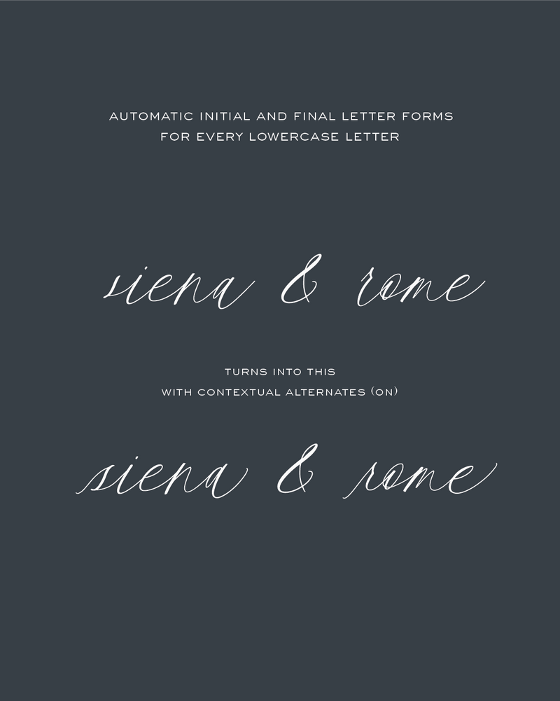 Loenna Lite - Script Typeface