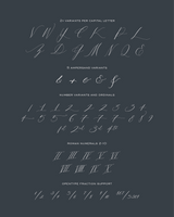 Loenna Pro - Script Typeface